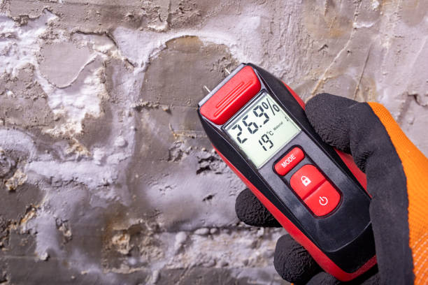 Best Fast Mold Removal  in Lawton, IA