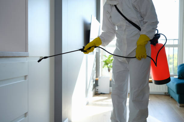 Best Professional Mold Removal  in Lawton, IA